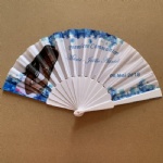 Souvenir plastic fan